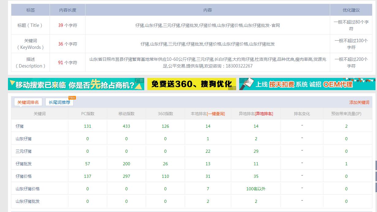 济南网站优化仔猪关键词